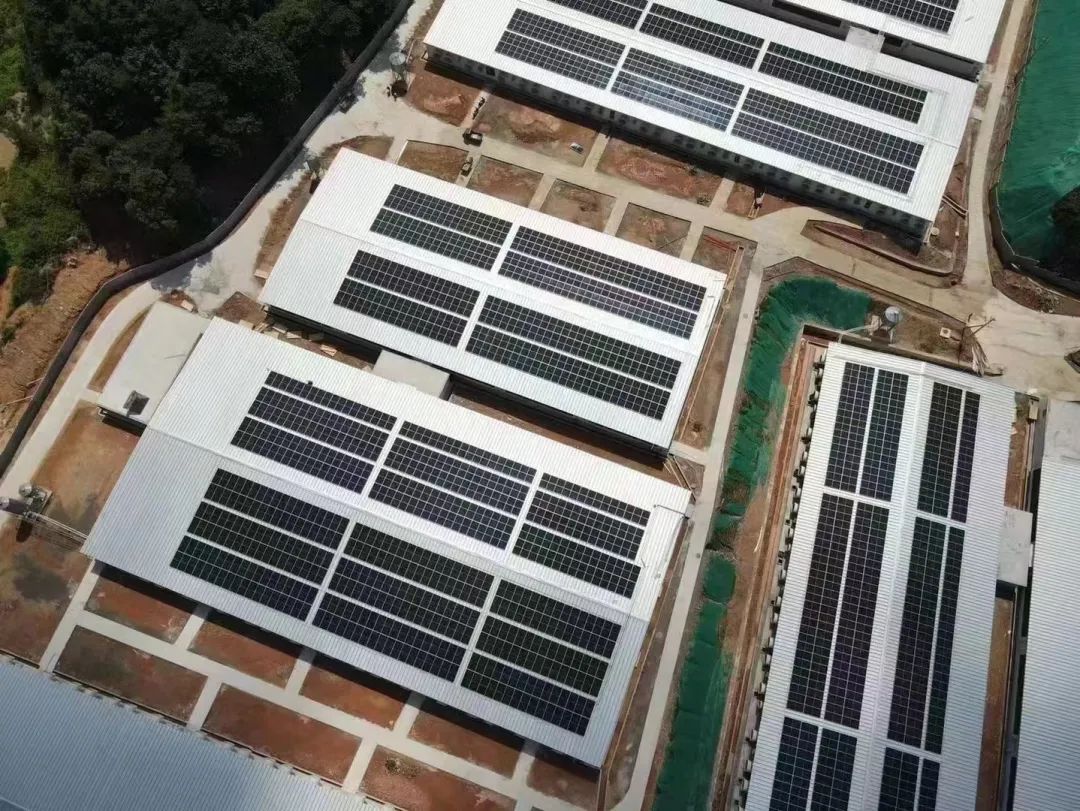 多多28快讯:江西定南万丰3.2MW项目顺利并网发电