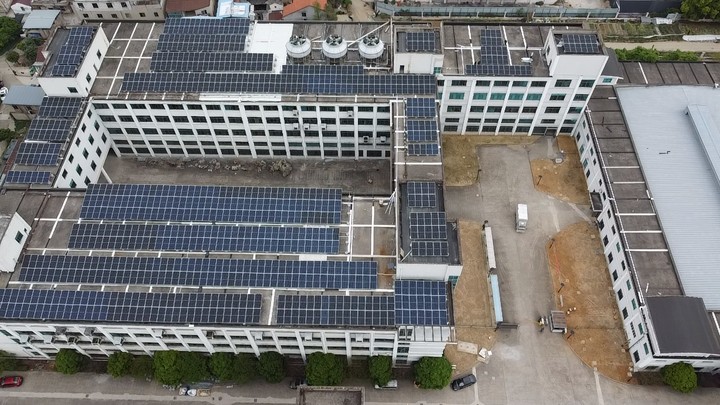 多多28快讯|多点开花,喜报频传