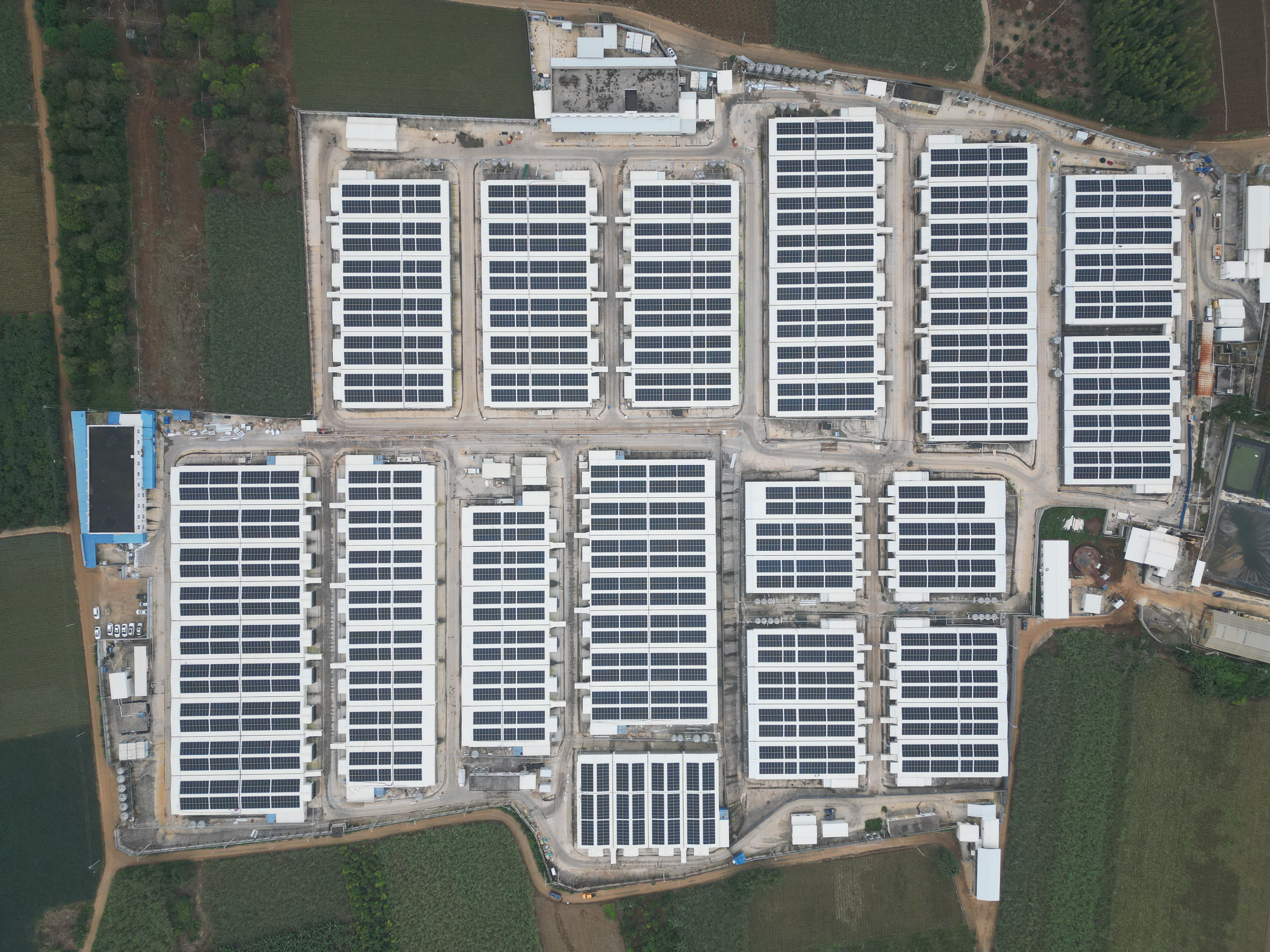 多多28电力    “为您的能源自由而来”